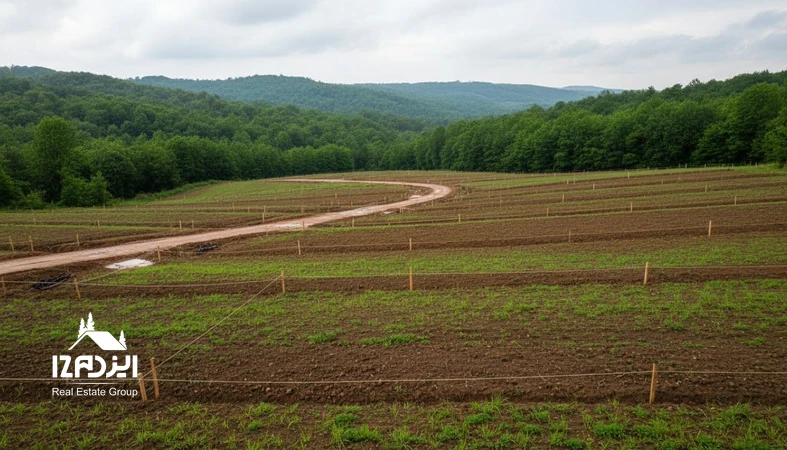 نمایی فوتورئال از زمین قطعه بندی شده در مازندران با مسیر دسترسی و مرزبندی مشخص؛ مرتبط با داستان های موفق خرید زمین در شمال و تصمیم های امن